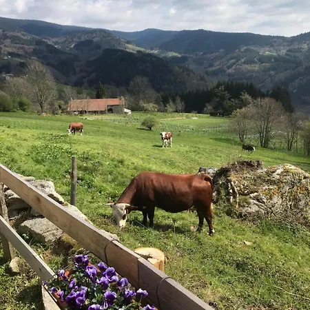 La Source D'en 招待所 4*