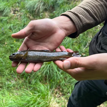La Source D'en 4* Valcivieres