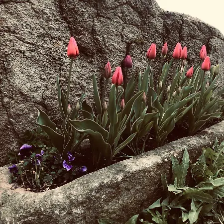 La Source D'en Pensjonat Valcivieres