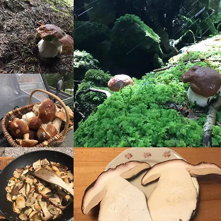 招待所 La Source D'en Valcivieres