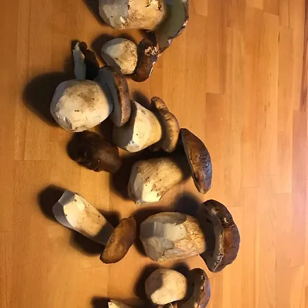 招待所 La Source D'en 4*