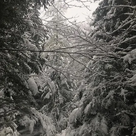 La Source D'en 招待所