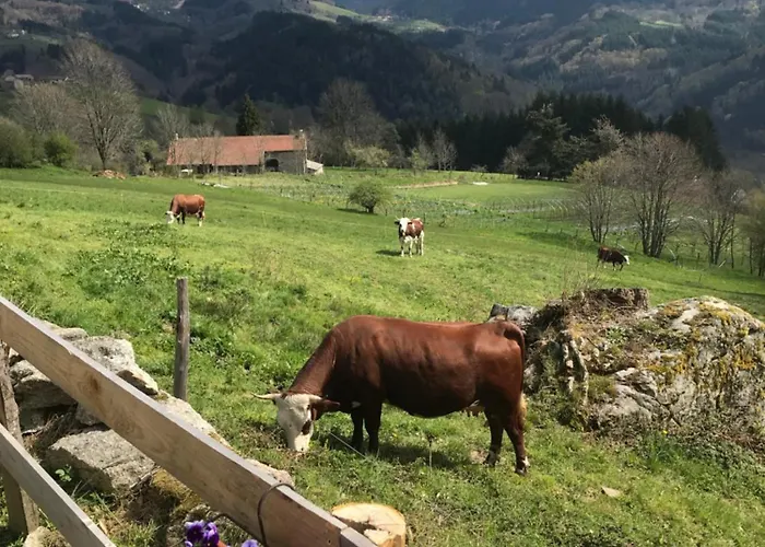 La Source D'en Maison d'hôtes 4*