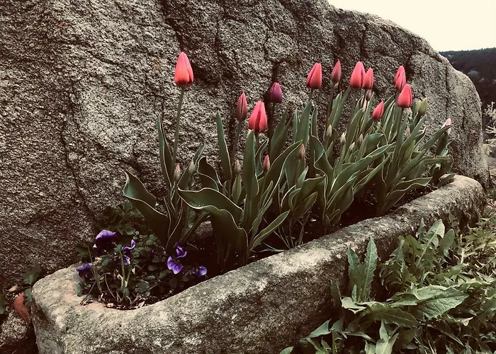 La Source D'en Maison d'hôtes Valcivieres