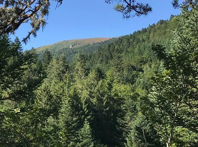 Гостевой дом La Source D'en Valcivieres