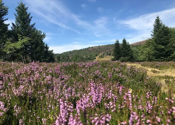 La Source D'en 4* Valcivieres