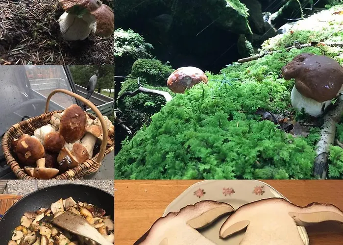 بيت ضيافة La Source D'en Valcivieres