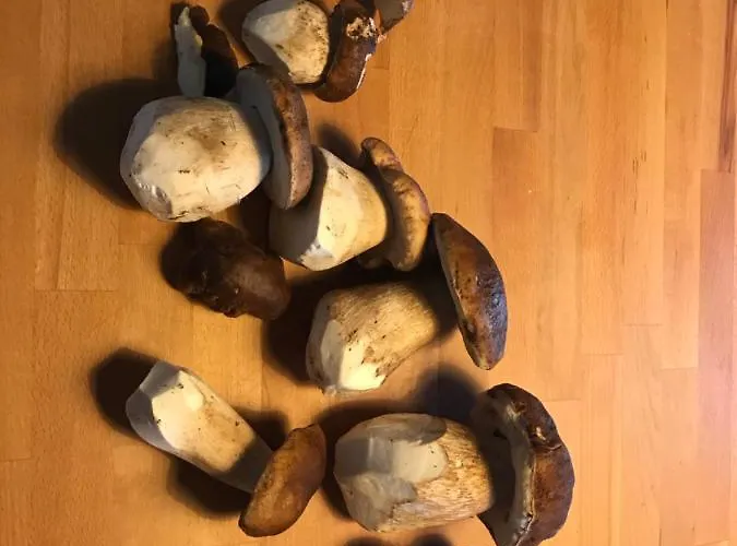 Гостевой дом La Source D'en 4*