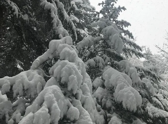 La Source D'en Maison d'hôtes 4*