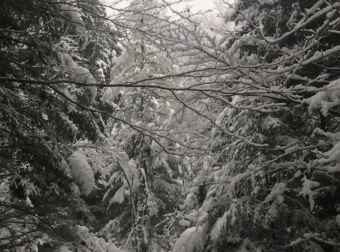 La Source D'en Maison d'hôtes